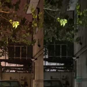 مقایسه دوربین در شب