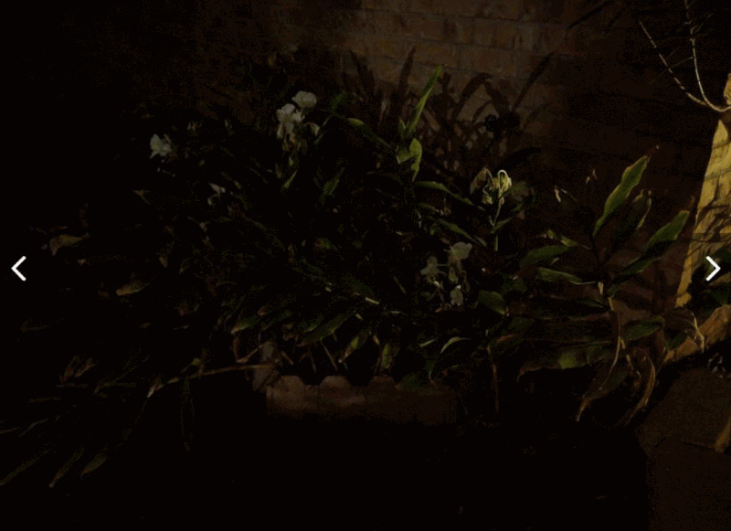 دوربین پیکسل ۳ با حالت Night Side در شرایط نوری ضعیف به شکل وحشتناکی قدرتمند است