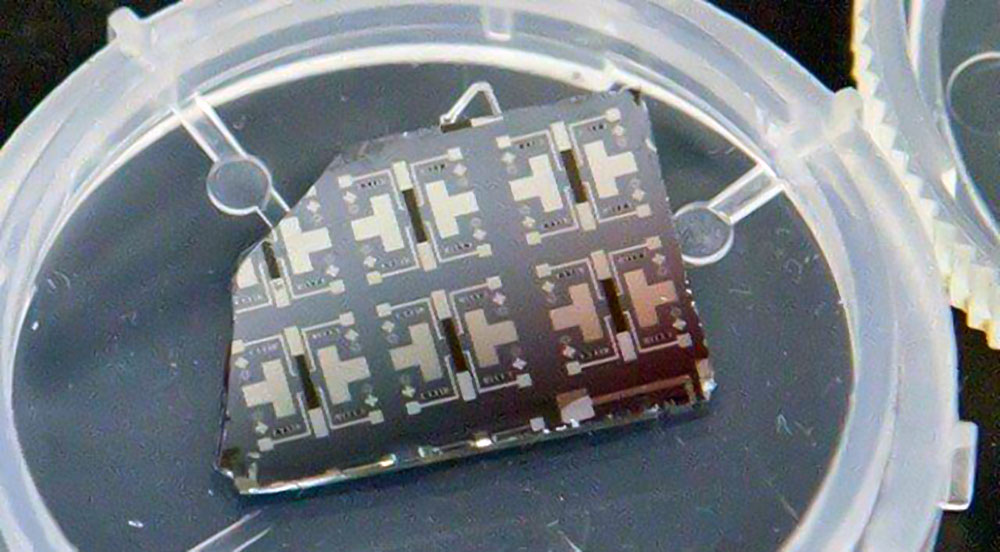 ترانزیستوری با توانایی تقلید از مغز برای یادگیری