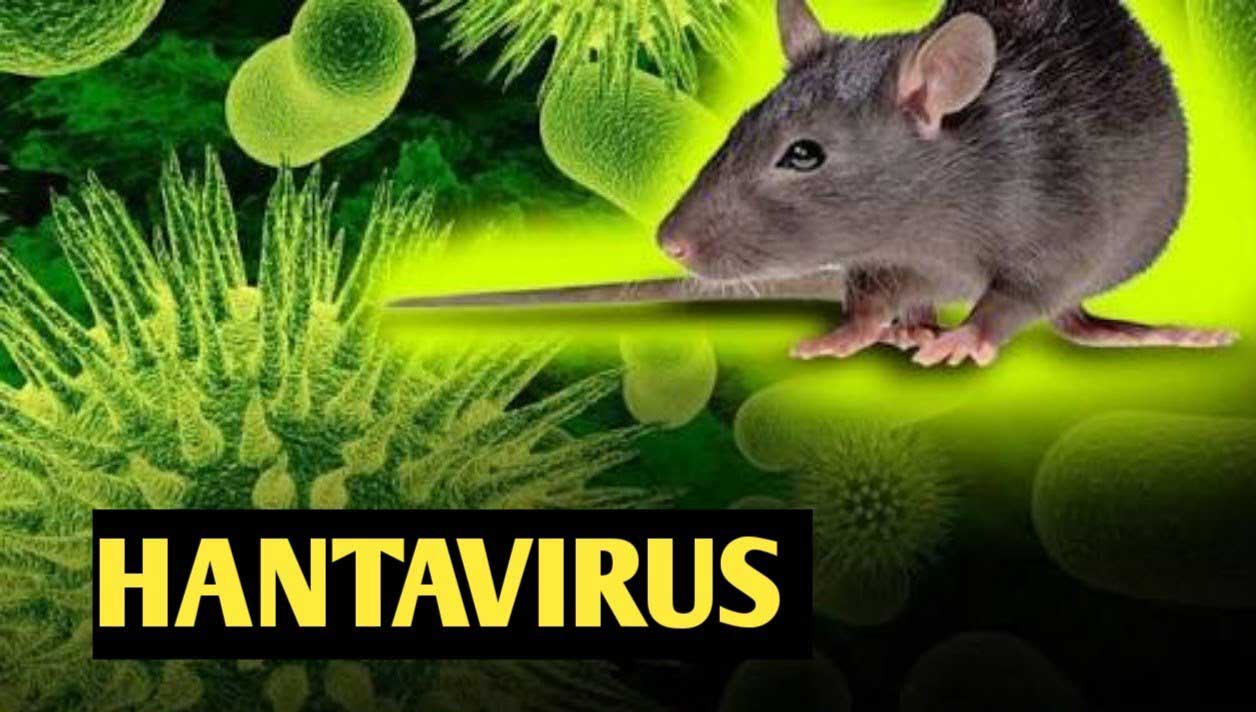 ویروس هانتا چیست؟