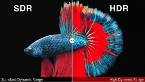 مقایسه HDR با SDR