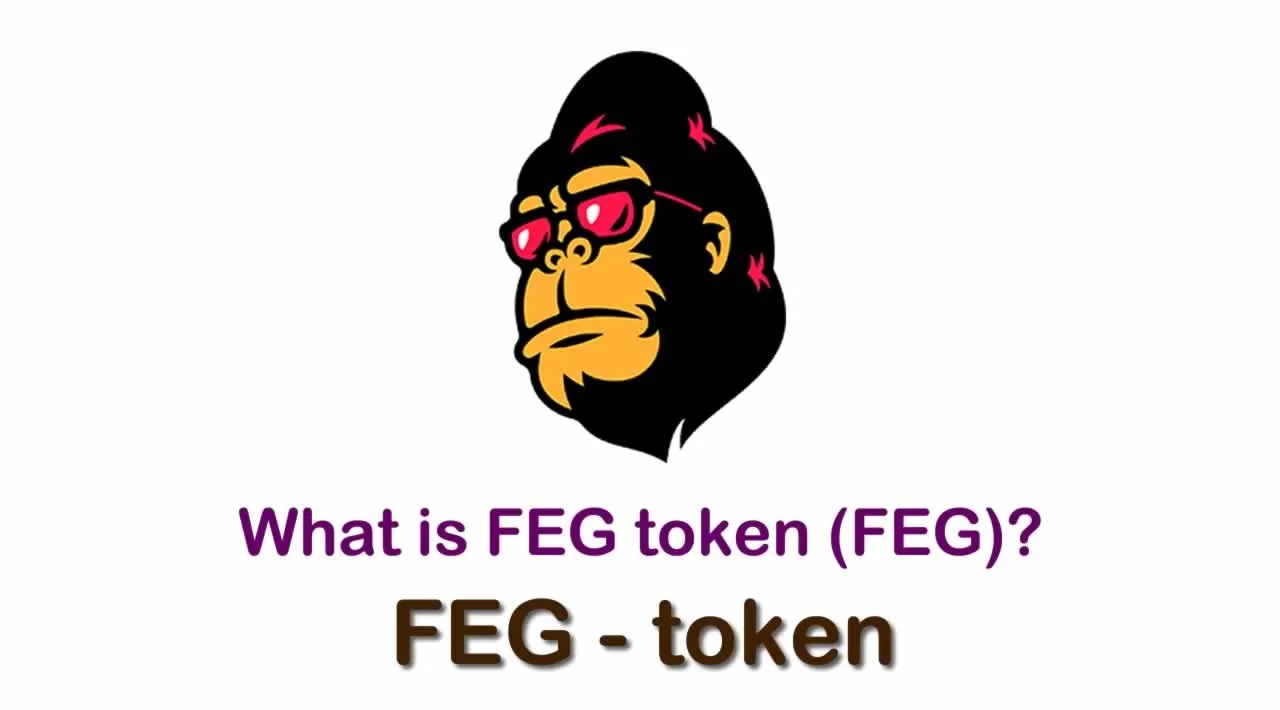 توکن FEG چیست و چطور باید آن را خریداری کنیم؟