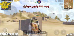 چیت پابجی