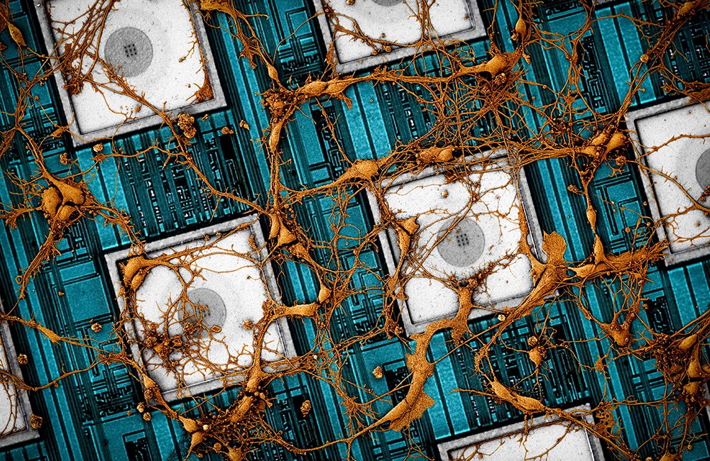 مهندسی معکوس مغز انسان توسط سامسونگ و استفاده آن روی تراشه‌ های سه بعدی