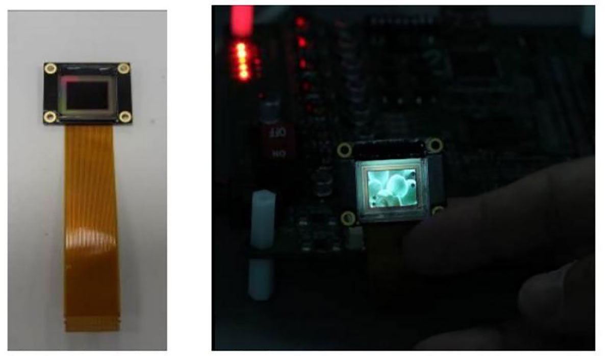 تمرکز سامسونگ دیسپلی بر نمایشگرهای OLED کوچک برای هدست‌های AR/VR