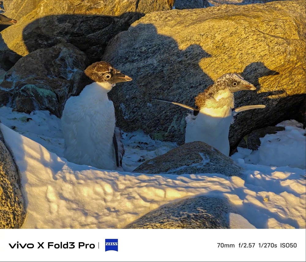 نمونه عکس‌های رسمی دوربین X Fold 3 Pro