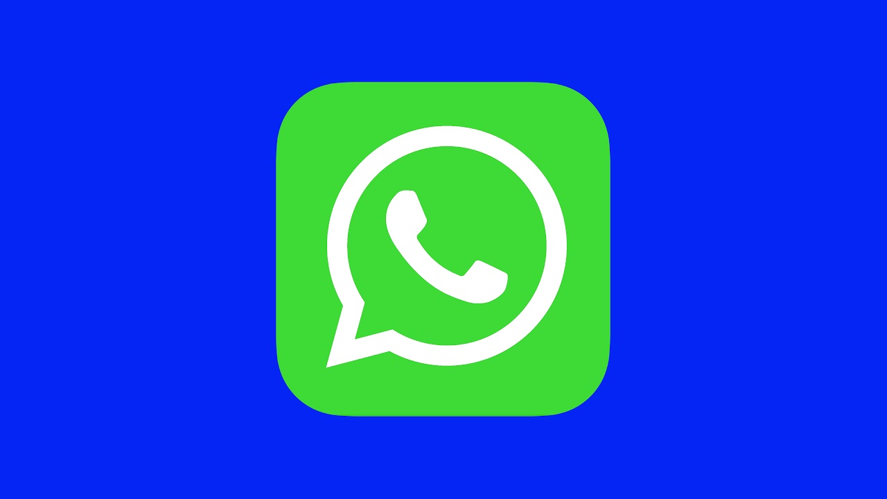 قابلیت انتخاب کیفیت دانلود خودکار در واتس‌اپ برای کاربران نسخه بتا اندروید فعال شد