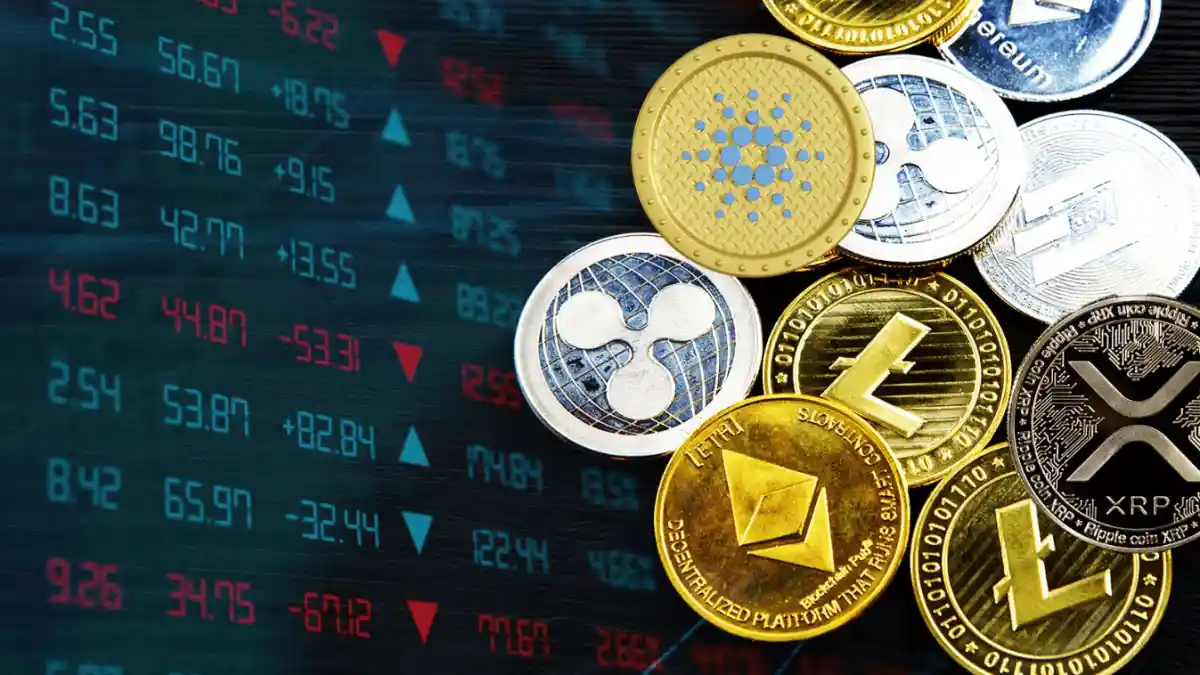 استراتژی های سرمایه گذاری آلت تناسلی