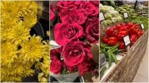 نمونه تصاویر دوربین گلکسی S26 اولترا